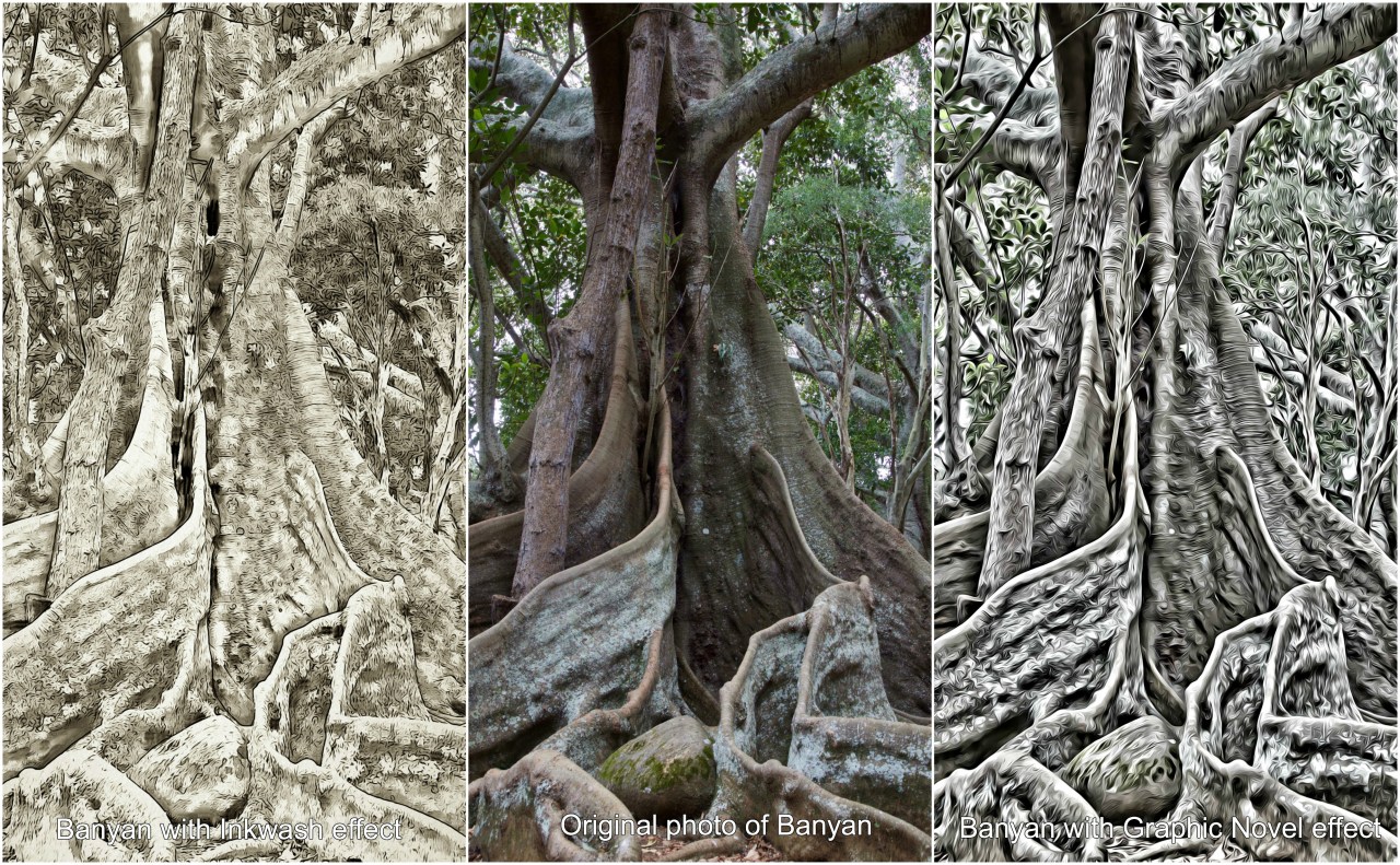 BeFunky – hope for less than perfect&nbsp;pics